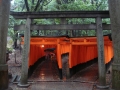 Kyoto : Inari